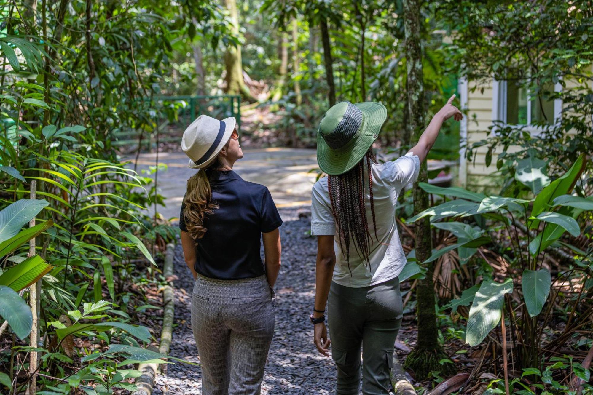 Gamboa Rainforest Reserve Экстерьер фото