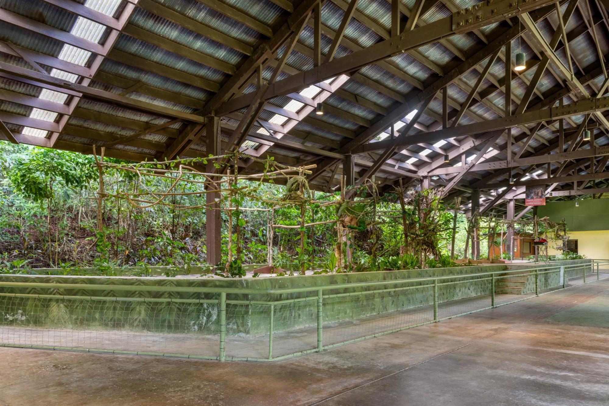 Gamboa Rainforest Reserve Экстерьер фото