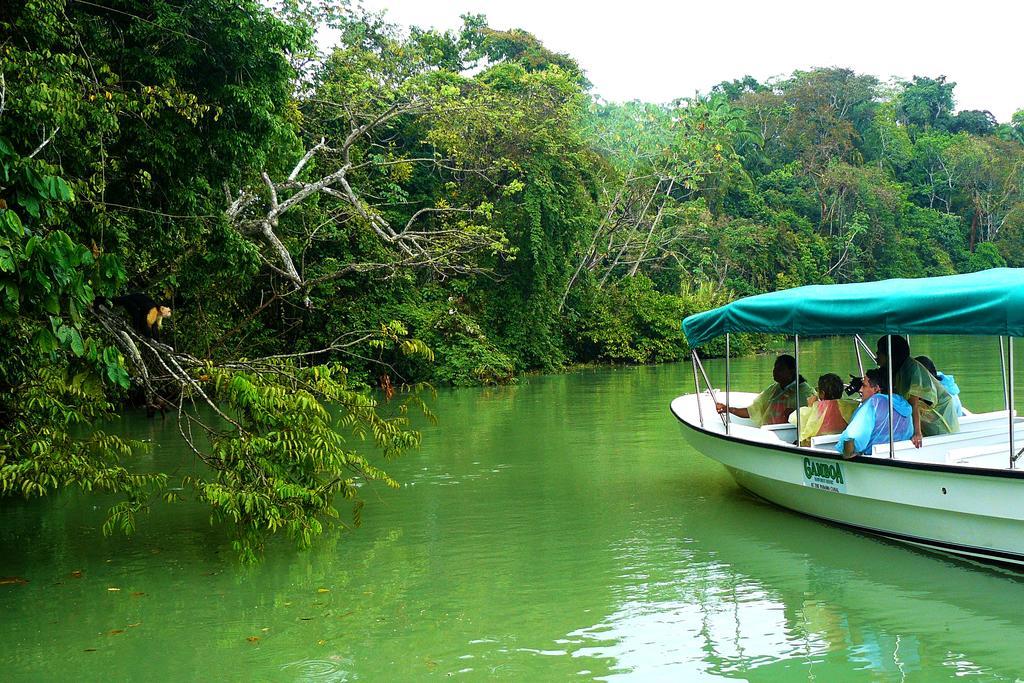 Gamboa Rainforest Reserve Экстерьер фото