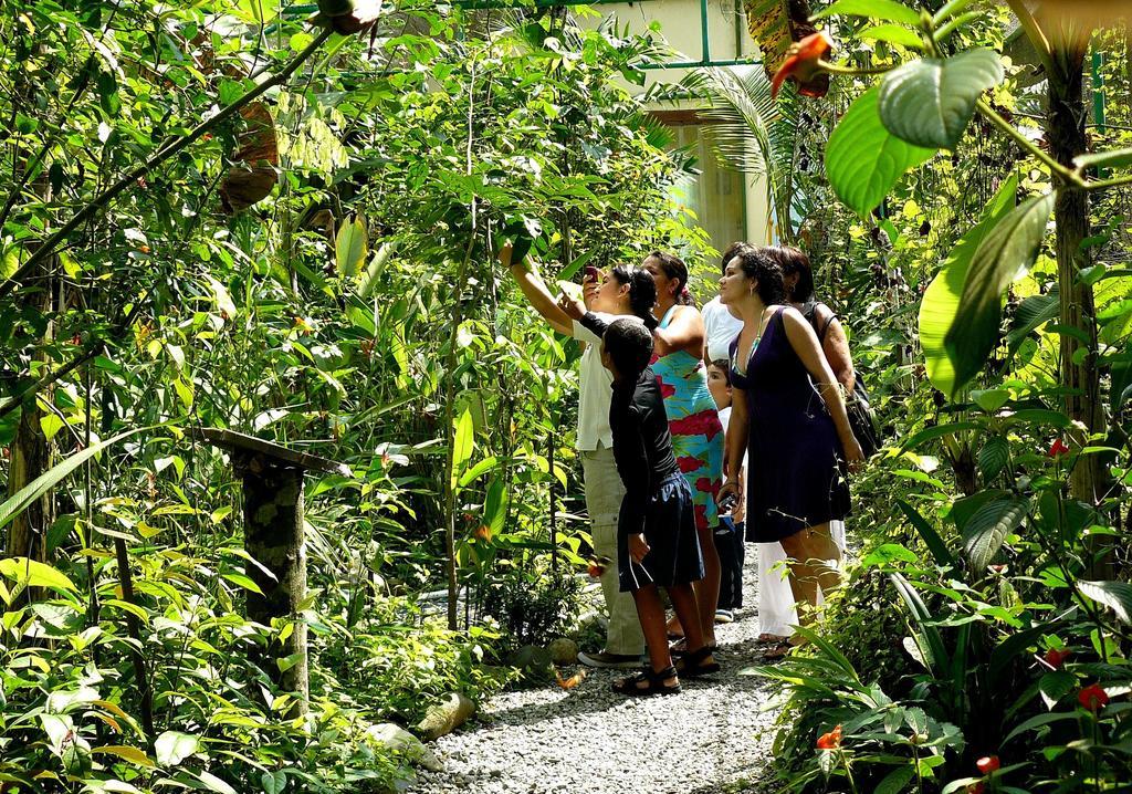 Gamboa Rainforest Reserve Экстерьер фото
